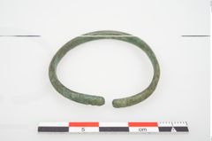 Foto von Bronzering (NHMW-PRAE-026628)